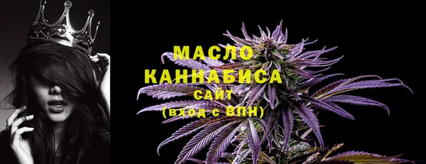 молекула духа Елабуга