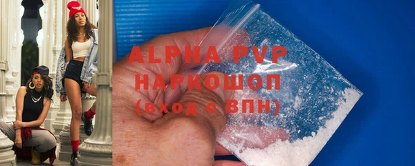 молекула духа Елабуга