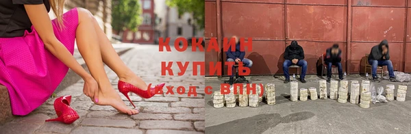 дмт Ельня
