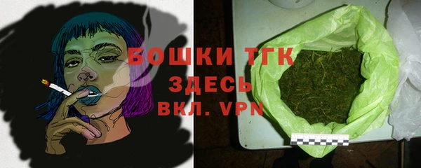 дмт Ельня