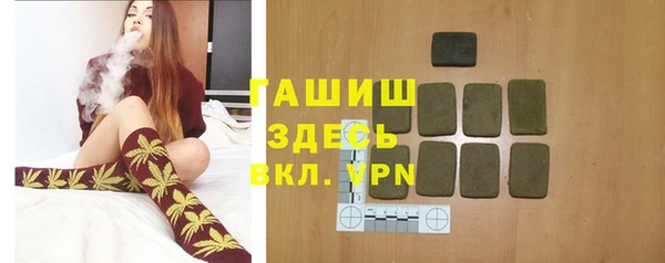 дмт Ельня