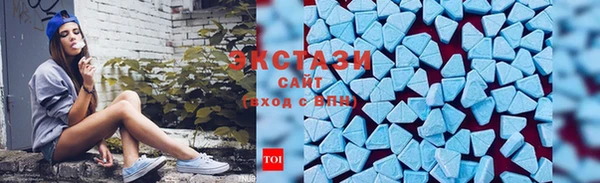 дмт Ельня