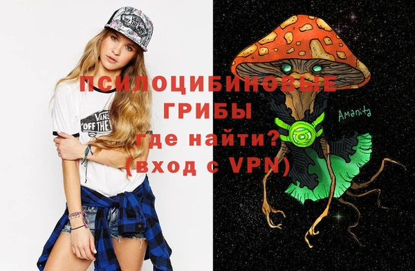 дживик Краснотурьинск