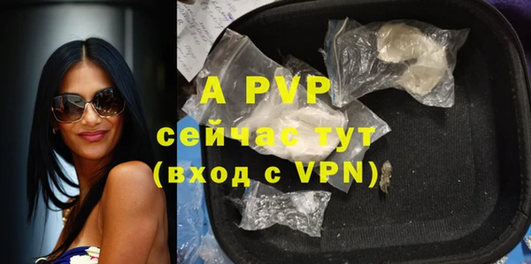 молекула духа Елабуга