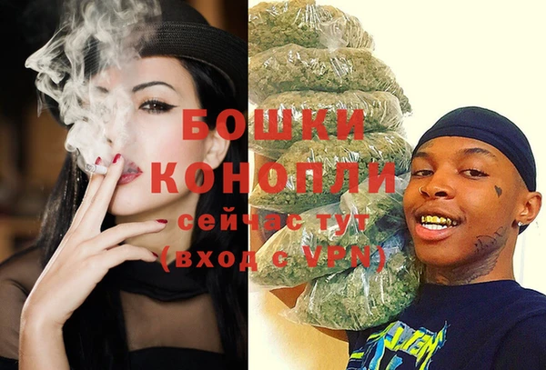 молекула духа Елабуга