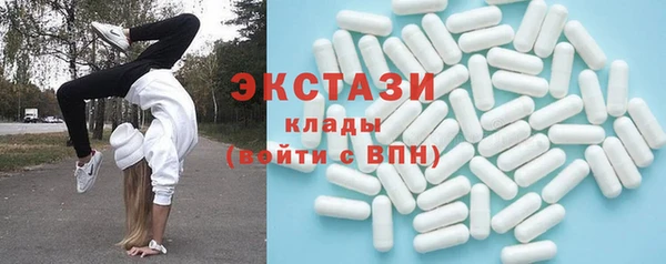 дмт Ельня