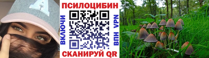 купить наркоту  Муравленко  Галлюциногенные грибы GOLDEN TEACHER 